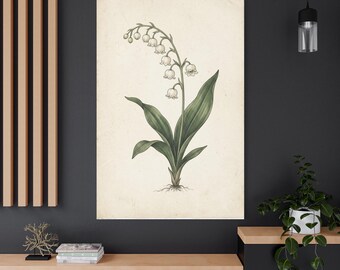Vintage Lily of the Valley Wall Art - Botanical Flower Poster Print