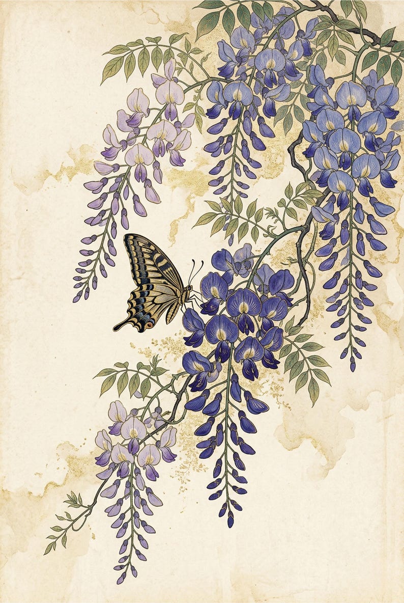 K&ouml;nnte beinhalten: Illustration eines Schmetterlings auf blauen Blauregenbl&uuml;ten. Das Bild zeigt kaskadierende lila Blauregen und gr&uuml;ne Bl&auml;tter vor einem cremefarbenen Hintergrund mit goldenen Akzenten. Botanisches Thema.
