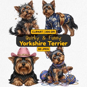 May include: Digital art featuring four Yorkshire Terriers in various poses. One dog wears a kimono, another a pink cowboy hat, and a third plays with yarn. The image includes the text "Quirky & Funny Yorkshire Terrier".