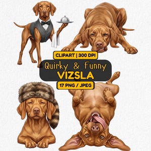 Może przedstawiać: Zbiór ilustracji zabawnych psów rasy Vizsla. Jeden pies jest przebrany za kelnera, inny nosi futrzaną czapkę, a pozostałe są w zabawnych pozach. Obraz zawiera tekst "Quirky & Funny Vizsla".