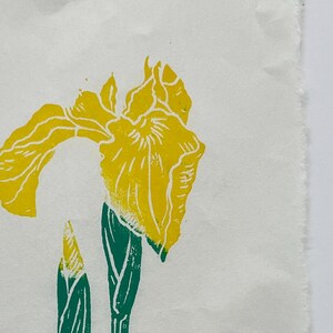Peut inclure: Une fleur d'iris jaune avec des tiges vertes, imprimée sur du papier blanc. La signature de l'artiste, "Collette House", et le titre, "Yellow Iris 114", sont écrits à l'encre noire sous l'image.