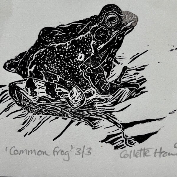 frog lino print