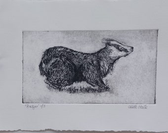 Badger Drypoint Print: Black Etching Ink on Cotton Paper