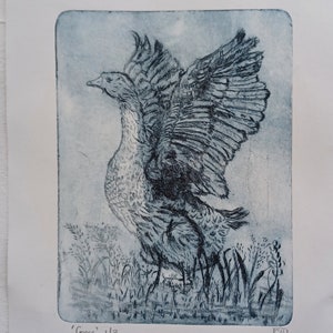 Drypoint etched goose blue black