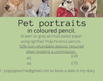 Pet portraits A5