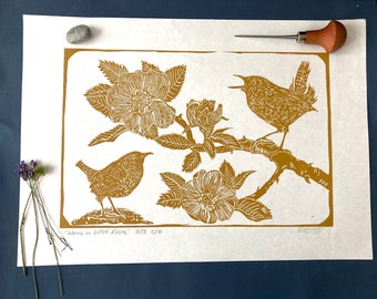Wrens singing in dog rose