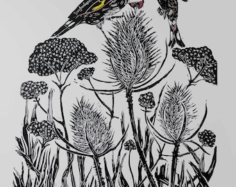 goldfinches on teasels