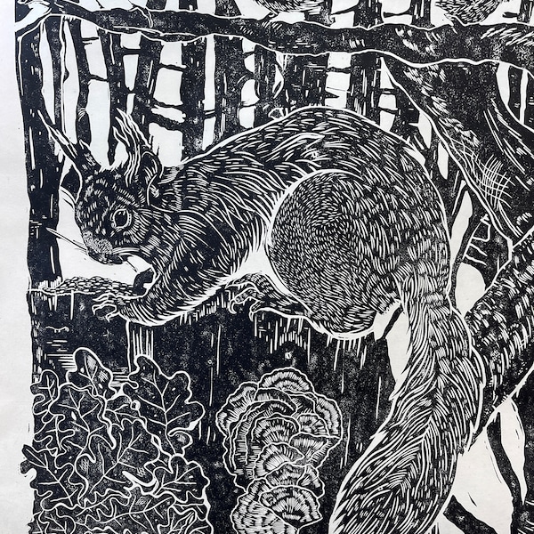 red squirrel and birds in forest lino print