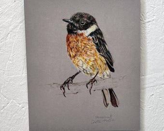 Stonechat bird drawing original