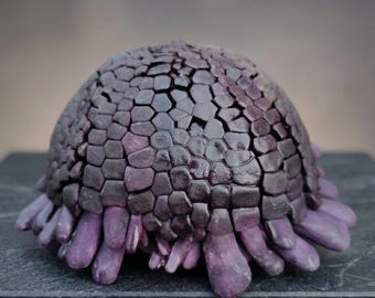 Real Purple Helmet Urchin Specimen | Authentic Marine Osteology Art | Geometric Sea Urchin Shell | Dark Academia Desktop Decor