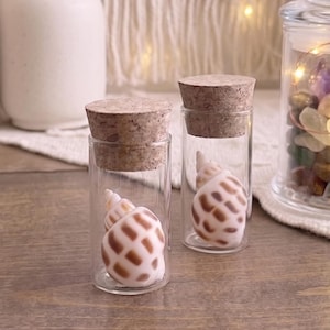 May include: Two small, clear glass bottles with cork stoppers, each containing a decorative seashell. The seashells have a cream and brown pattern. The bottles are displayed on a wooden surface.
