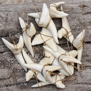 Op de afbeelding: Een verzameling gebroken witte haaientanden, elk omwikkeld met goudkleurig draad en verwerkt tot hangers. De tanden variëren in grootte en vorm en liggen op een verweerd houten oppervlak met verspreid zand.