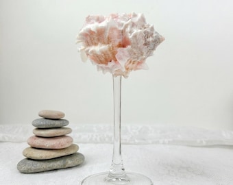 Natural Conch Shell Wine Glass | Seashell Goblet Stemware | Mermaidcore Coastal Wedding Toasting Flute
