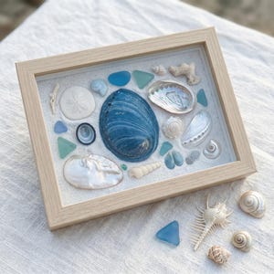Dopamine Blue Seashell Blind Box | Mystery Coastal Craft Scoop | Sea Glass & Starfish Mix | Aesthetic Ocean Decor