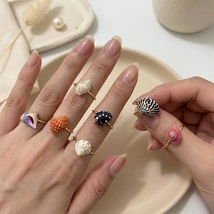 Könnte beinhalten: Eine Sammlung von sieben goldfarbenen Ringen, die jeweils mit einer einzigartigen natürlichen Muschel als Herzstück versehen sind. Die Muscheln variieren in Farbe und Textur, darunter weiß gepunktete, orangefarbene, dunkelblaue mit weißen Punkten und rosa Spiralen.