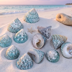 May include: A collection of seashells in shades of blue, green, and white, arranged on white sand. A starfish and a piece of driftwood are also present. The shells vary in size and shape, with intricate patterns and textures. The scene is set on a beach with the ocean in the background.