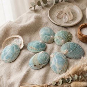 Concha de abulón azul natural / Cuenco para sahumar salvia y soporte de cristal / Decoración de altar de nácar iridiscente / Ritual de limpieza wiccano