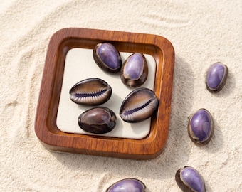 Real Purple Cowrie Shells | DIY Craft Supplies & Aquarium Decor | Natural Coastal Jewelry Shell