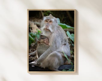 Monkey Mother and Baby Photography, Wildlife Family Portrait, Jungle Monkey Photo, Emotional Animal Moment, Wildlife Wall Art