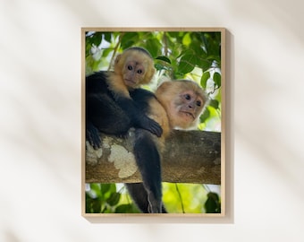 Monkey Mother and Baby Photography, Capuchin Monkey Portrait, Rainforest Wildlife Photo, Jungle Animal Family, Wildlife Wall Art