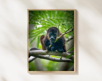 Baby Monkey Photography, Rainforest Monkey Portrait, Cute Monkey Wildlife Photo, Jungle Animal Photography, Baby Monkey Wall Art
