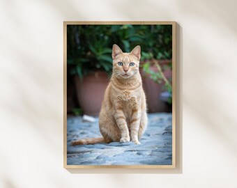 Ginger Cat Portrait Photography, Orange Tabby Cat Wall Art, Cat Lover Decor, Animal Portrait Photo, Pet Photography Print