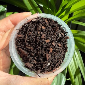 Chunky Aroid Potting Mix | Tree Fern Fiber, Orchiata Bark Substrate
