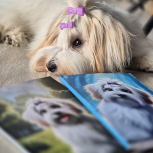 May include: A white dog with purple bows in its hair lies down, with two books featuring dog portraits in front. One book has a blue cover, the other a green cover. The dog's fur is long and wavy.