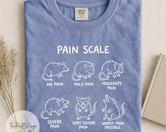 Nurse Pain Scale Pain Assessment Comfort Colors Shirt, Funny Nurse Tee, Nurse Crewneck, Gift For Nurse, Oversized tee