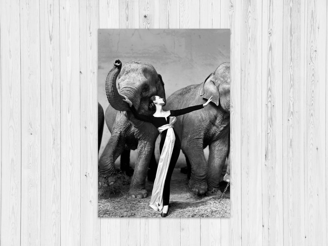 Fine Art Photo of Richard Avedon Artwork - Dovima With Elephants