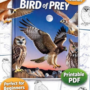 May include: A book cover titled "ANIMAL WORLD BIRD of PREY" with illustrations of various birds of prey, including owls and hawks. The cover also features the text "8 Step-by-step Tutorials" and "Printable PDF". Additional sheets show step-by-step drawing guides.