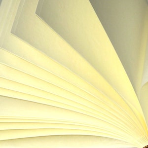 May include: A close-up of a book with cream-colored pages fanned out, revealing the texture of the paper.