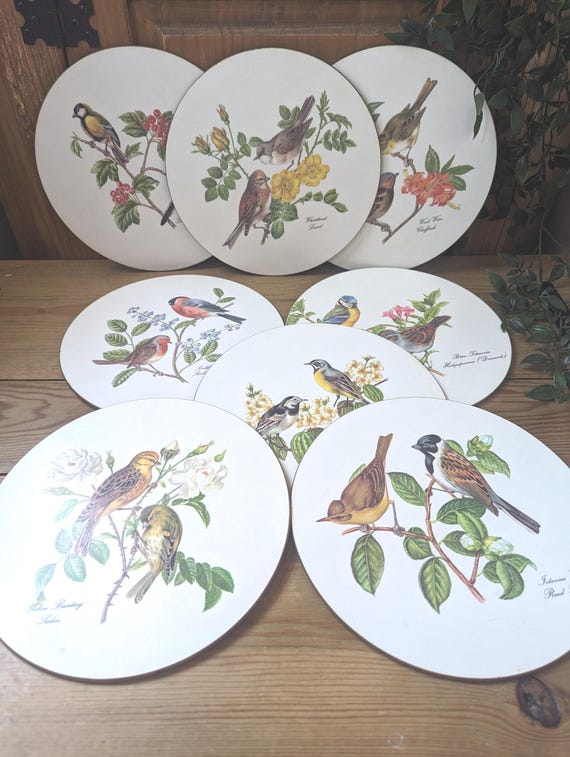 Set of 8 Vintage Lady Clare Bird Plates | Decorative Botanical