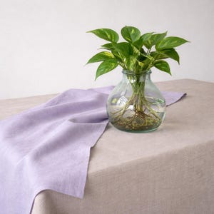 Puede incluir: Un jarrón de cristal transparente contiene una planta verde sobre un mantel beige. Un camino de mesa de lino lavanda se extiende sobre la mesa, creando un contraste. La escena evoca una sensación de calma y belleza natural.