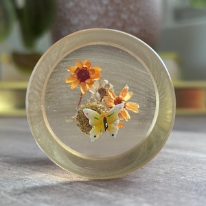 Vintage Daisyglas Lucite Paperweight: Mid Century Modern Dried Flower Desk Decor