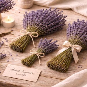 Lavanda seca Signature Harvest – Caja de regalo de lujo con forro de terciopelo – Decoración botánica mediterránea