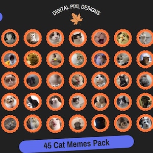 Può includere: Una collezione di 45 meme di gatti visualizzati in cornici smerlate arancioni su sfondo scuro. L'immagine include il testo "DIGITAL PIXL DESIGNS" e "45 Cat Memes Pack". Lo sfondo è grigio scuro con accenti viola.