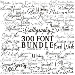 Può includere: Una collezione di vari font in script nero e stili senza grazie. Le parole "300 FONT BUNDLE" sono visualizzate in modo prominente, con "COMMERCIAL USE" sotto. Lo sfondo è bianco.