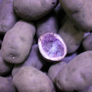 May include: A handmade wooden sign saying "Welcome to our home" in a handwritten style. The sign is painted white with a distressed finish and a dark brown border. Suitable for indoor or outdoor use.