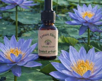 Lotus Bleu, Extrait Artisanal, Blue Lotus Extract,  Nymphaea Caerulea, Fleur Sacrée d'Égypte,  Flacon, Produit Botanique Naturel.