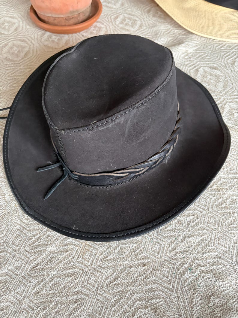 May include: A dark brown cowboy hat with a wide brim and a braided band. The hat has a structured crown and a leather tie. The hat is made of a suede-like material.