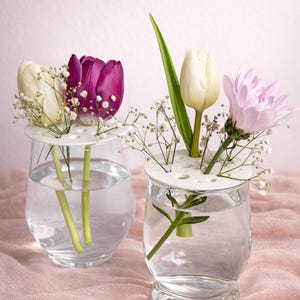 May include: Two clear glass vases with water, each holding flowers. One vase has white and purple tulips with baby's breath, the other has a white tulip and a pink chrysanthemum. White floral frogs hold the stems.