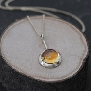 May include: A silver necklace with a round amber pendant. The pendant is set in a silver bezel and hangs from a delicate silver chain.