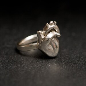 Anatomical Heart Ring, Silver Heart Ring, Gift For Her image 2