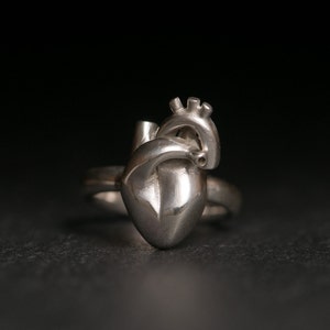 Anatomical Heart Ring, Silver Heart Ring, Gift For Her