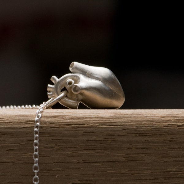 Anatomical Heart Necklace with Silver Chain, Gift for Her Heart Pendant Necklace