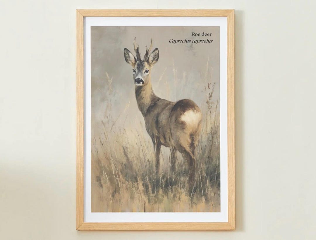 Roe Deer Poster – Wildlife & Animal Art Print - British Species ...