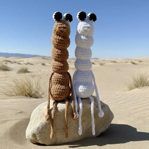Puede incluir: Dos criaturas de ganchillo hechas a mano, una marrón y otra blanca, sentadas sobre una roca en un paisaje desértico. Cada una tiene un cuerpo apilado, piernas largas y una cabeza con ojos blancos y negros. Las figuras son caprichosas y únicas.