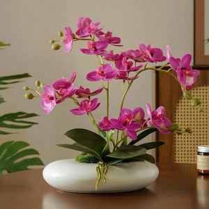 Può includere: Una vivace composizione di orchidee rosa in una fioriera ovale in ceramica bianca. Le orchidee hanno più fiori e foglie verdi. La fioriera è posizionata su una superficie di legno, creando un'esposizione naturale ed elegante.