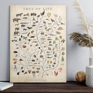 以下が含まれることがあります： 「TREE OF LIFE」と題されたヴィンテージスタイルのポスター。さまざまな動物、昆虫、植物のイラストが描かれています。このアートワークは、生き物や植物の詳細な図面が描かれた中央の木のような構造を特徴とし、下部には「ORIGIN OF LIFE」という言葉があります。